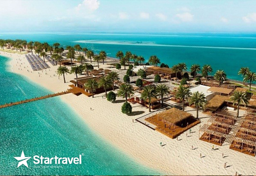 Ngày 3: Đảo Sir Bani Yas